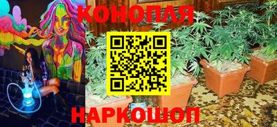 Альфа ПВП Лесосибирск