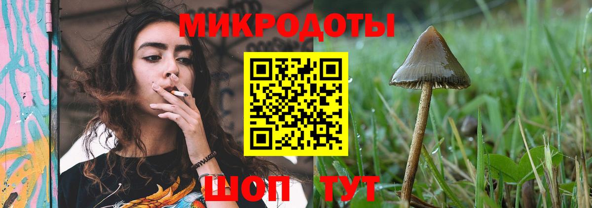 Галлюциногенные грибы мухоморы Гусиноозёрск